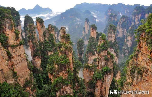 暑假<a href='https://www.xacct.com.cn/tags/zhangjiajielvyougonglue_30905_1.html' target='_blank'>张家界旅游攻略</a>和费用多少？