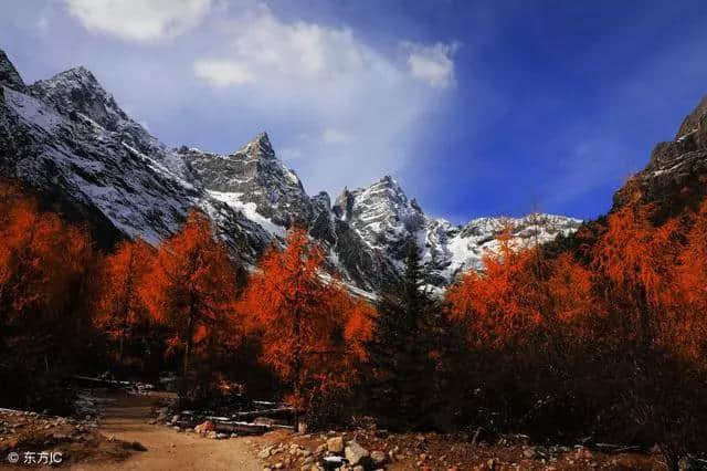 适合55-65岁中老年人旅游的景点，不仅风景美，而且也不累