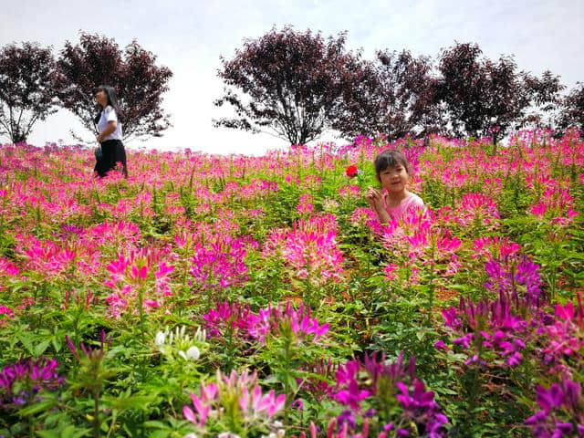 适合郊游、拍抖音，雁湖生态文旅小镇(科尔马庄园)丨水影花海