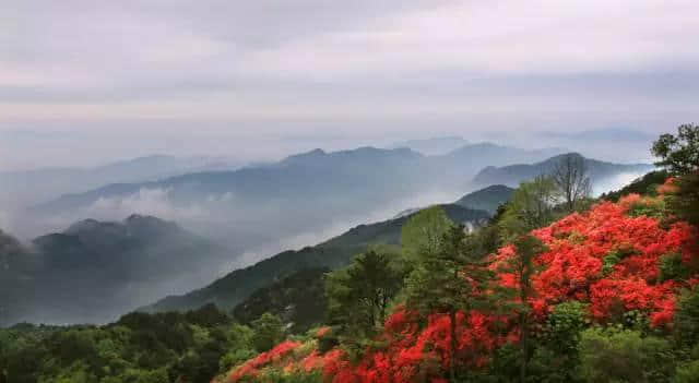 惊呆了！湖北竟然有这么多好玩的地方，随文附上自驾游攻略，速速收藏！