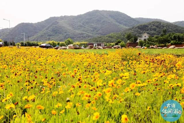 10条最美春天旅游线路出炉