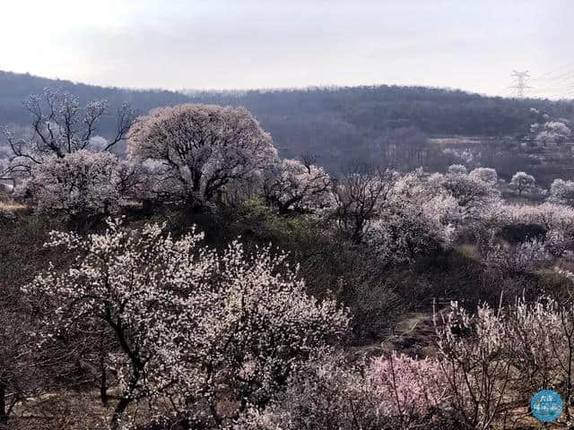 10条最美春天旅游线路出炉