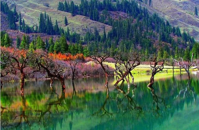 小众旅游：金川河谷，若尔盖花湖，四姑娘山，三奥雪山