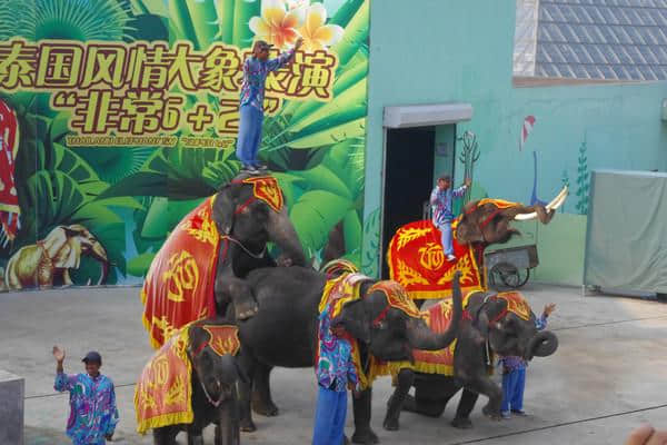 中秋,大连两天短程游——带着爸妈去旅行(想在大连短程旅行的蜂蜂们可以看看哦！图图较多,请见谅~)