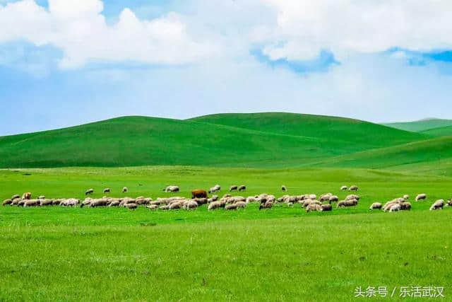 暑假浪起来！全国旅游地图精简版，放在手机里太方便了！