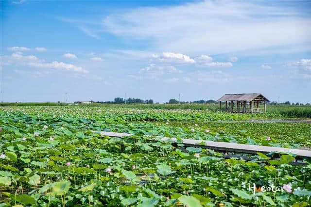 大西北的“塞上江南”，景色好安全系数高，新手自驾游首选