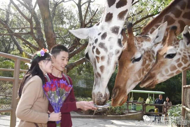 世界旅游日｜旅行的意义，就是一种心灵的洗礼