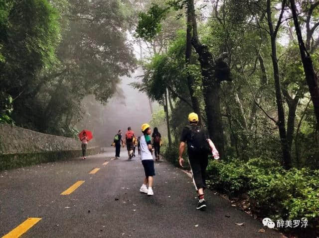 边游边学，换个角度看罗浮山，给孩子们一个快乐的暑假