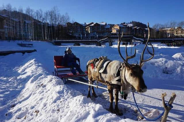 旅游指南｜一年12月，最适合去国内的哪里旅行？这里给你个答案！