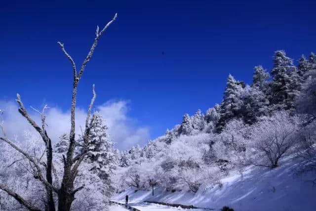 湖北周边冬天雪景最美的4个地方，恍如仙境