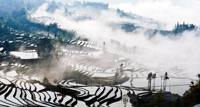 「美景」越是冬天，越不能不去元阳梯田！