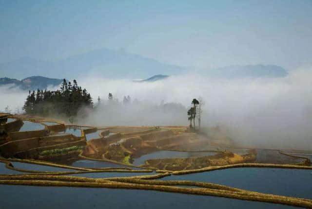 「美景」越是冬天，越不能不去元阳梯田！