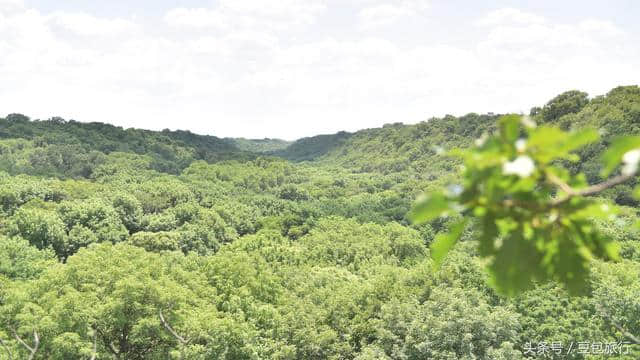 27天5700公里自驾内蒙古第十天：古代残遗森林植物群落通辽大青沟