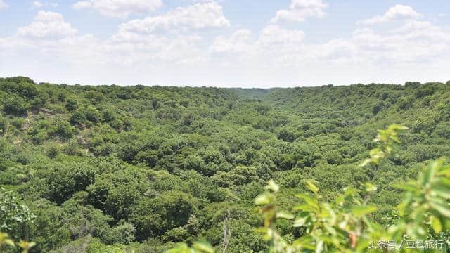 27天5700公里自驾内蒙古第十天：古代残遗森林植物群落通辽大青沟