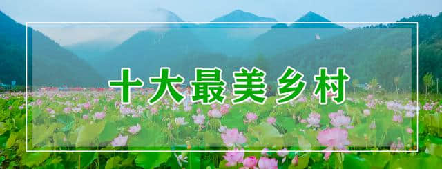 免费！今年8月1日-8月20日去栾川旅游高速免费！