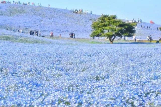 2019版网红旅行地图