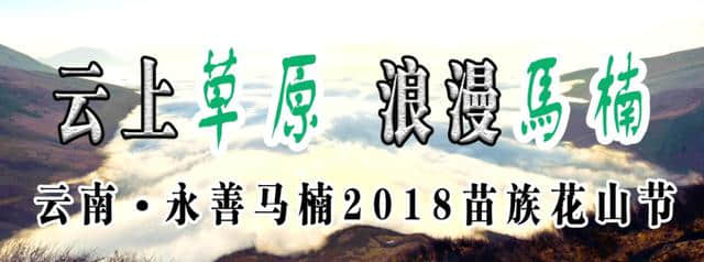 马楠花山节实现旅游综合收入600余万元！