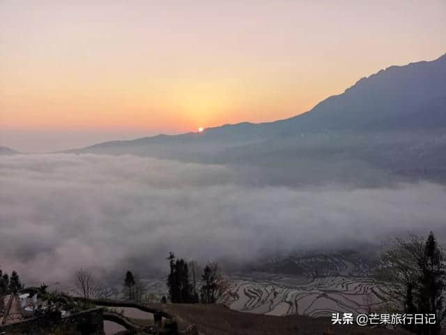 芒果旅行日记，云南元阳梯田详细攻略，包含交通吃饭住宿等明细