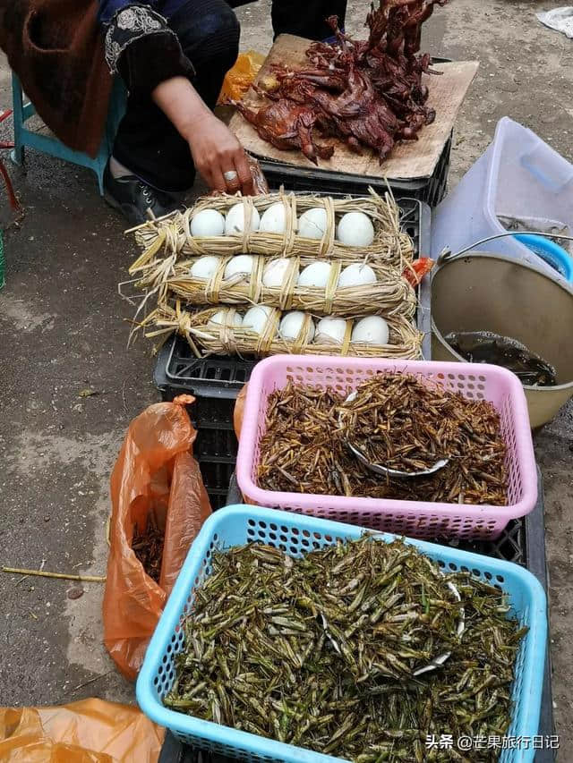 芒果旅行日记，云南元阳梯田详细攻略，包含交通吃饭住宿等明细