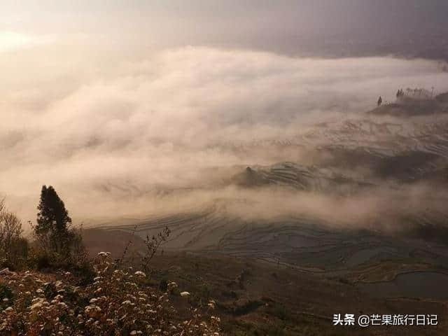 芒果旅行日记，云南元阳梯田详细攻略，包含交通吃饭住宿等明细