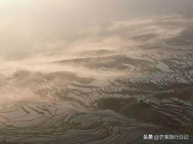 芒果旅行日记，云南元阳梯田详细攻略，包含交通吃饭住宿等明细