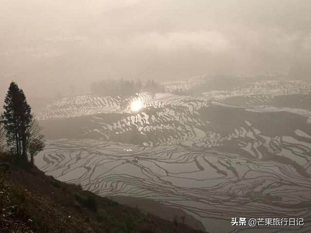 芒果旅行日记，云南元阳梯田详细攻略，包含交通吃饭住宿等明细