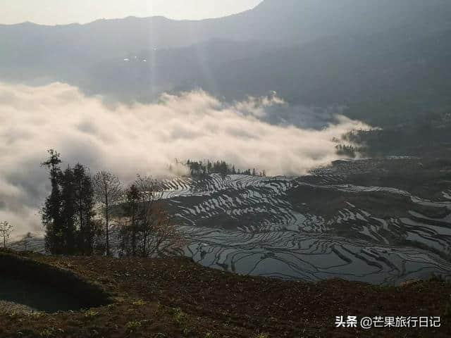 芒果旅行日记，云南元阳梯田详细攻略，包含交通吃饭住宿等明细