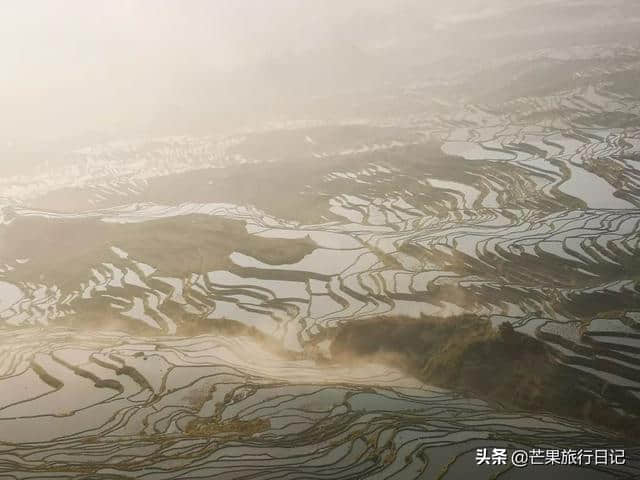 芒果旅行日记，云南元阳梯田详细攻略，包含交通吃饭住宿等明细