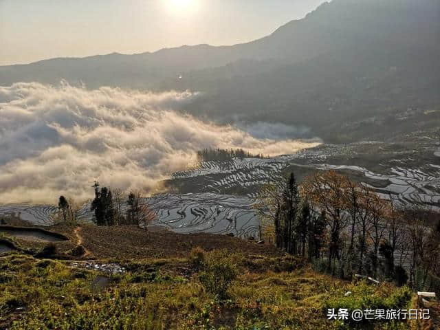 芒果旅行日记，云南元阳梯田详细攻略，包含交通吃饭住宿等明细