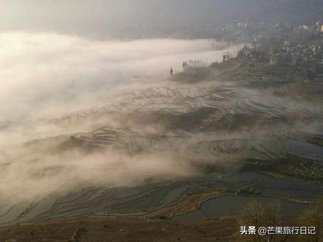 芒果旅行日记，云南元阳梯田详细攻略，包含交通吃饭住宿等明细