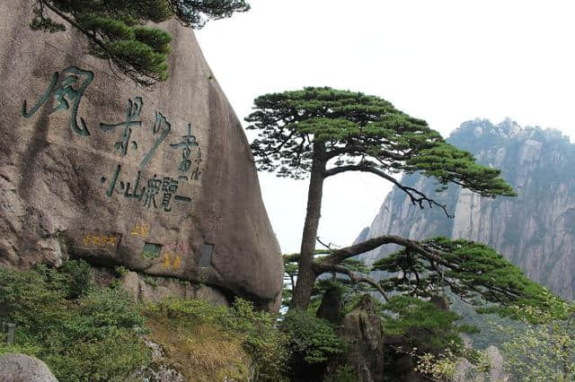 湖南张家界，四川九寨沟，安徽黄山，暑假7月8月必去的旅游之地