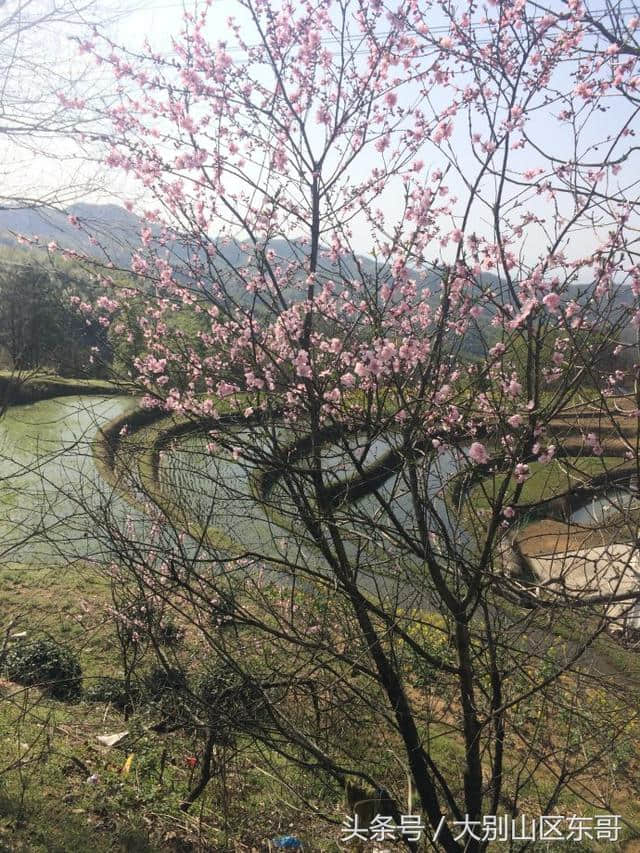 风景独特的大别山但家庙镇