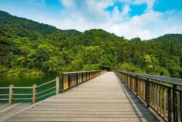 美到窒息！梯面油菜花海震撼登场！旅游君免费送豆腐花，先到先得~