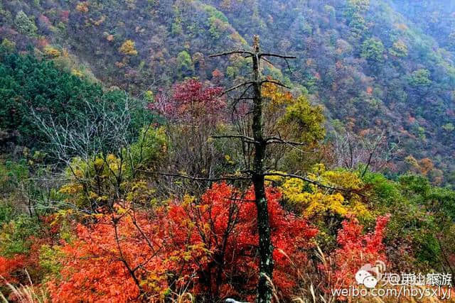 英山旅游新发现：大别山探秘一一“黑河谷”