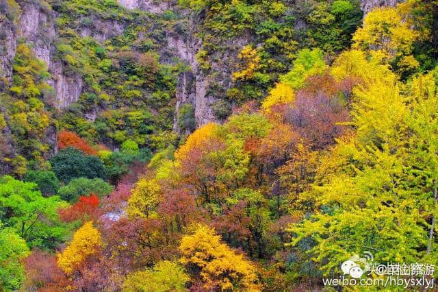 英山旅游新发现：大别山探秘一一“黑河谷”