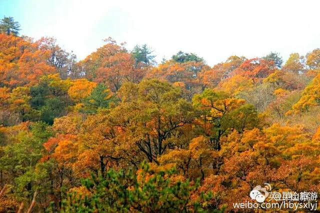 英山旅游新发现：大别山探秘一一“黑河谷”