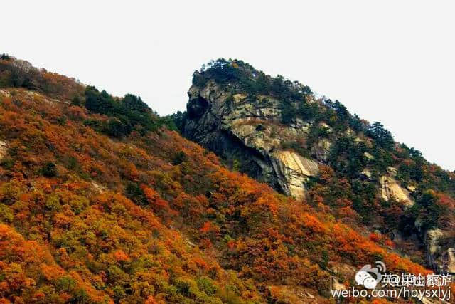 英山旅游新发现：大别山探秘一一“黑河谷”