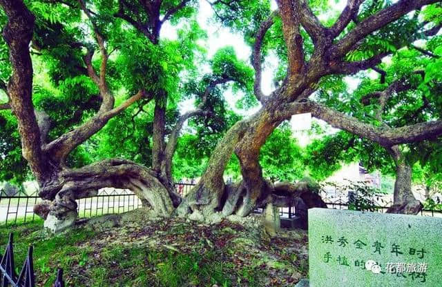 花都这些惊艳了岁月的景点，个个都是“宝藏级”打卡点，踏青必去！