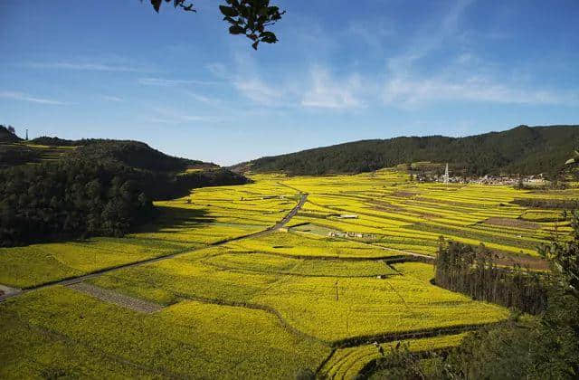 “沃田桑景晚，平野菜花春”