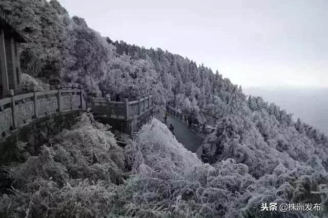 明天放假啦，这是最适合带上父母冬游湖南的最强攻略