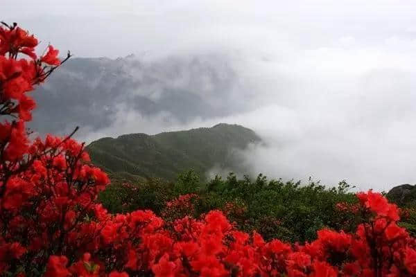 女生必去的湖南旅游景点，不要辜负五月天！