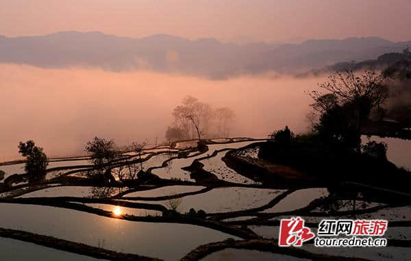 “彩云之南”湖南邀客 发布滇东南精品旅游线路