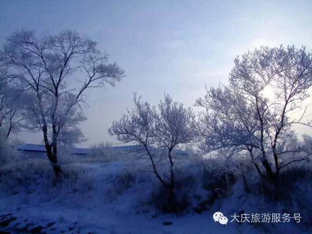 大庆冬韵－－大庆冬季旅游