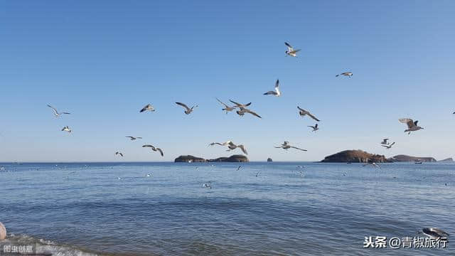 大连夏日旅游攻略：吃海鲜看美景游乐园，炎炎夏日旅行就该这么玩