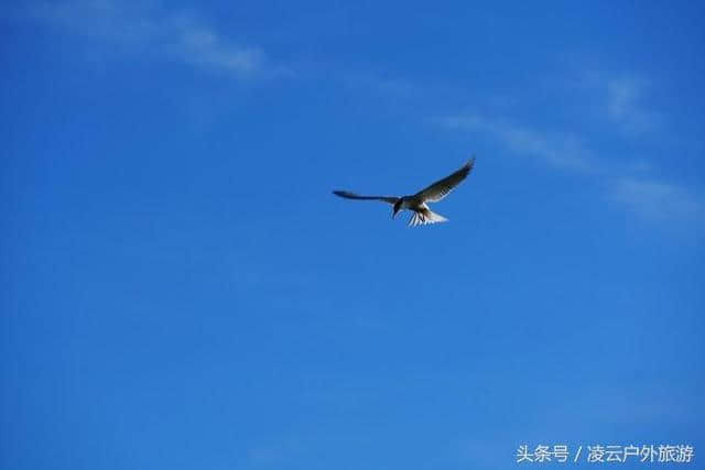 高原明珠，花湖