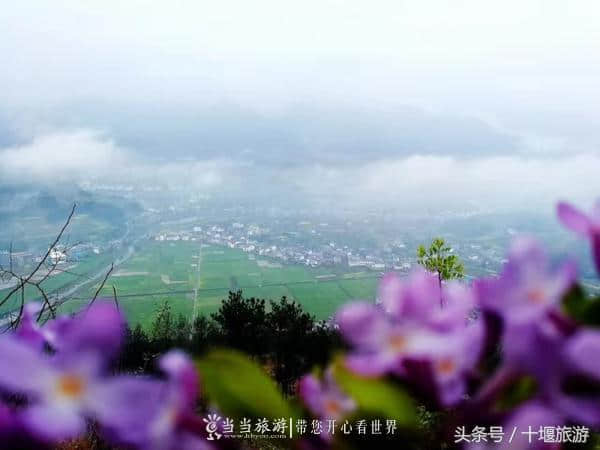 雨中游竹溪县中峰镇青草坪 景色美不胜收