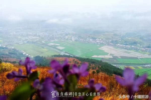 雨中游竹溪县中峰镇青草坪 景色美不胜收