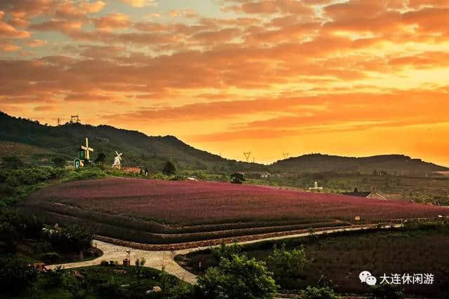 大连夏天周边十大旅游线路发布，您早就该来一场美丽的邂逅