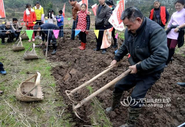 江西石城建上村举办 “首届乡村荸荠旅游文化节”