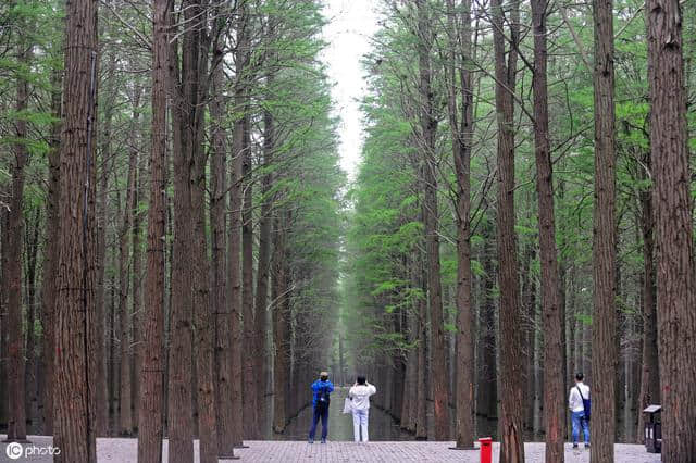 湖北省仙桃市人口民族概况